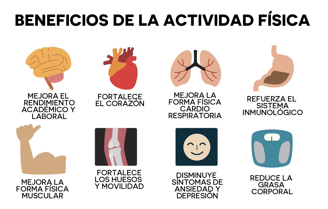 Importancia de la actividad física
